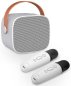 Draadloze karaokeset (kit) met 2 microfoons + 6W speaker