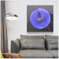 Podsvietené obrazy na stenu - Kovové (hliníkové) - LED podsvietené RGB 20 farieb - LABUŤ Lúče 50x50cm