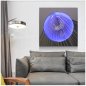 3D paintings metal (aluminum) wall art - LED RGB 20 colors - SWAN 50x50cm