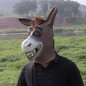 Μάσκα γαϊδάρου - σιλικόνης μάσκα προσώπου / κεφαλιού γαϊδουριού για παιδιά και ενήλικες