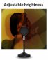 UFO LAMP - Lampe de couleur ronde pour la photographie Commutation 16 couleurs avec télécommande