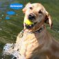 Hunde-GPS-Halsband in Glocke – Mini-GPS-Ortungsgerät für Hunde/Katzen/Tiere mit Wifi und LBS-Tracking – IP67