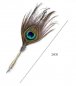 Peacock feather pero quill - razkošno zgodovinsko pero v darilnem paketu + 5 peres