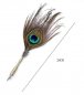 Peacock feather pen quill - luxurious historical pen in a gift package + 5 nibs