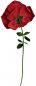 Valentine rose - XXL Large flower red rose gift 1,6m