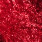 Polvo espumoso (polvo) - Brillo cuerpo + decoración facial biodegradable - 10g (Rojo)