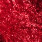 Sparkling powder (dust) - Glitter body + face decoration biodegradable - 10g (Red)