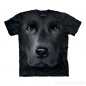 Hi-tech fresco camisetas Labrador