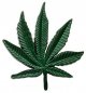 Khóa thắt lưng - Marihuana