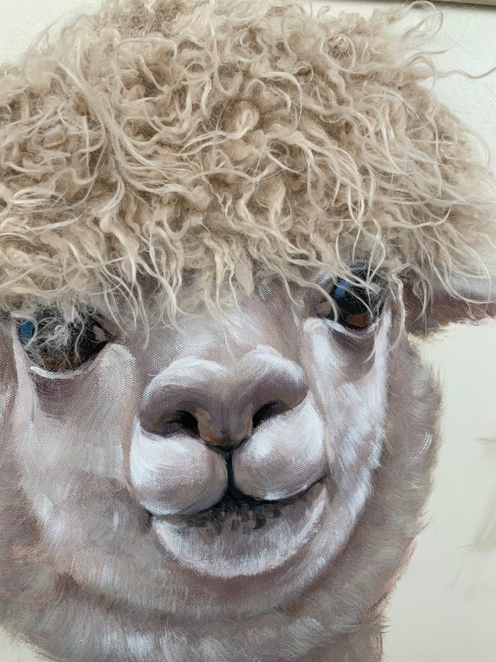 Llamas & Alpacas 3D Wall Art – Framed Animal Artwork for Interior