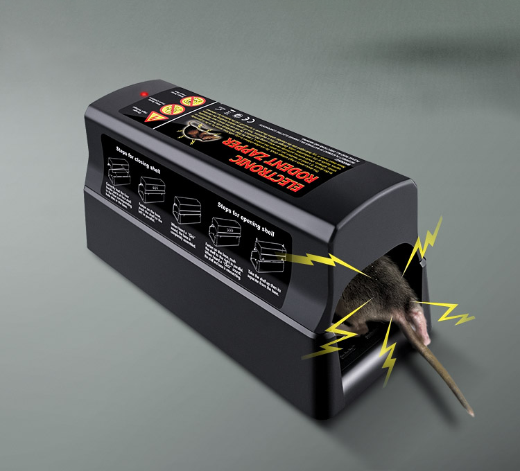 elettrica per topi