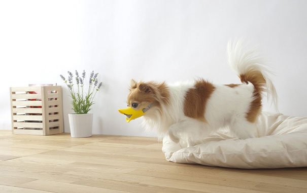 Quack Duck protective muzzle for dogs Cool Mania