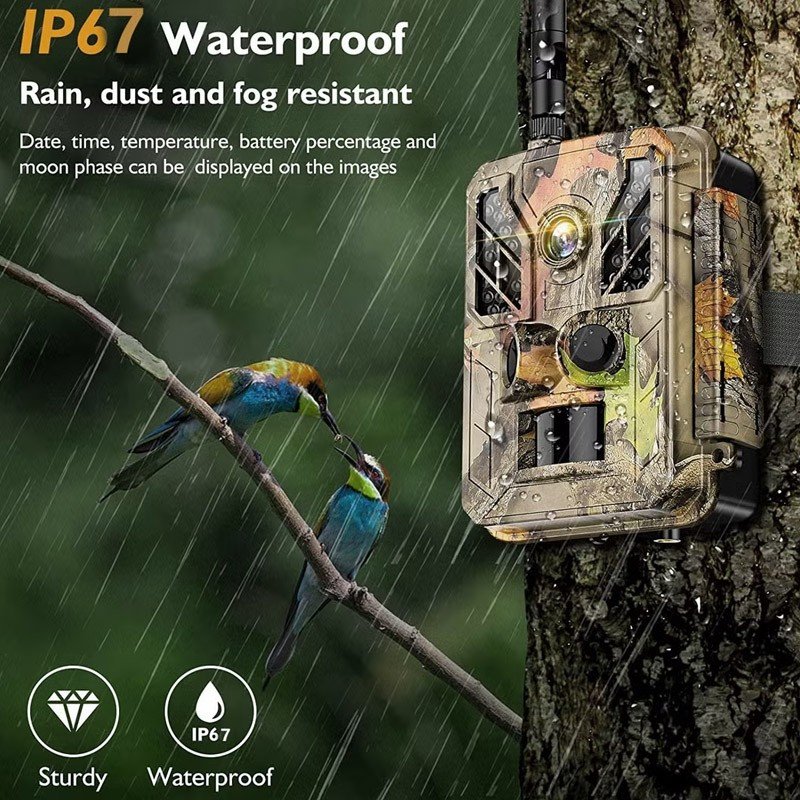 Animal wildlife camera MMS - trail photo trap 4G LTE 12MP with FULL HD ...